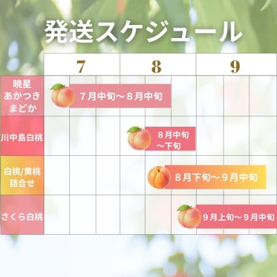 厳選!福島の桃4回定期便_EC-4 【2027年発送】No.1625