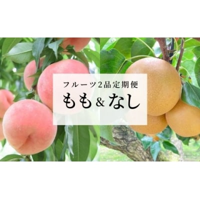 フルーツ2品定期便 もも・なし各約2kg【2025年発送】No.1633