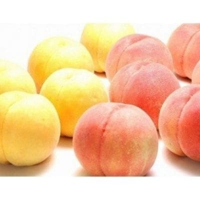 もも 白桃&黄桃 食べくらべセット 約2kg【2025年発送】No.1697