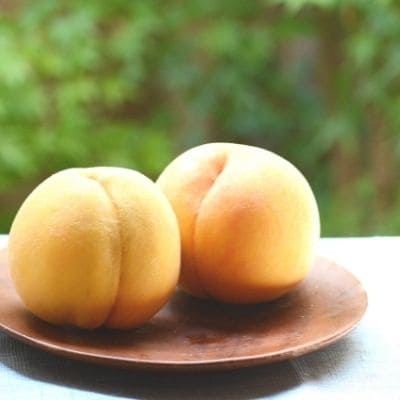 もも 黄金桃 約2kg 【2025年発送】No.1704