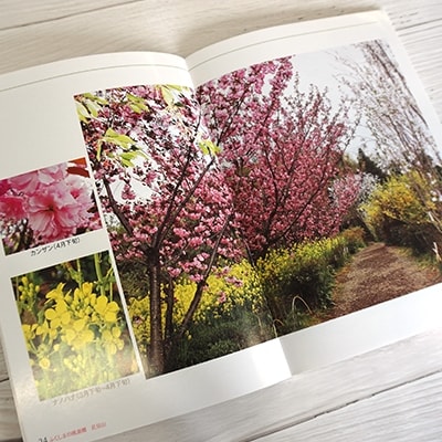 写真集 ふくしまの桃源郷「花見山」　No.1148