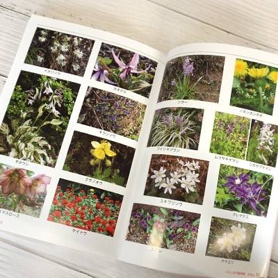 写真集 ふくしまの桃源郷「花見山」　No.1148