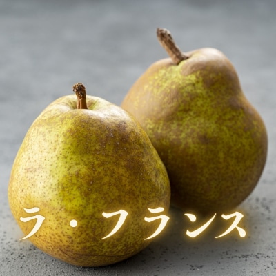 ラ・フランス 約5kg　【2025年発送先行予約】No.1731