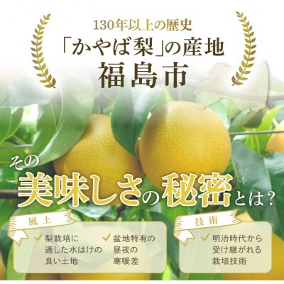 梨　なし　幸水　約2kg　【2026年発送】No.1712