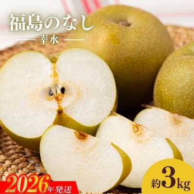 梨　なし　幸水　約3kg　【2026年発送　先行受付】No.1713