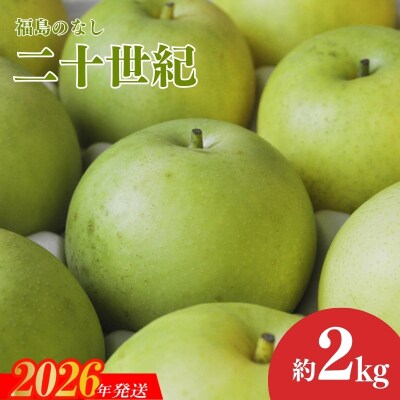 梨　なし　二十世紀　約2kg　【2026年発送】No.1726