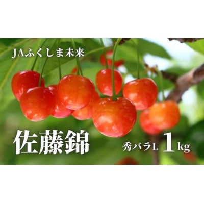  さくらんぼ「佐藤錦」約1kg【2025年発送】No.1475