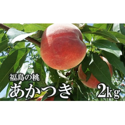 福島のもも「あかつき」約2kg【2025年発送】No.1505