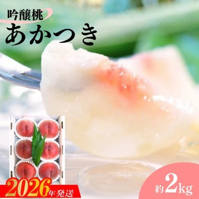 【限定50箱】吟壌桃「あかつき」 約2kg【2026年発送】No.1520