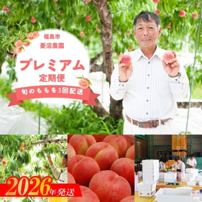 【全3回】桃プレミアム定期便【2026年発送 先行受付】No.1537