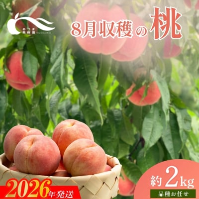 もも　8月収穫の桃　品種お任せ　約2kg【2026年発送　先行受付】No.1758