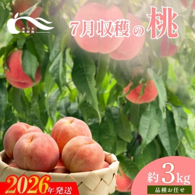 もも　7月収穫の桃　品種お任せ　約3kg【2026年発送　先行受付】No.1759