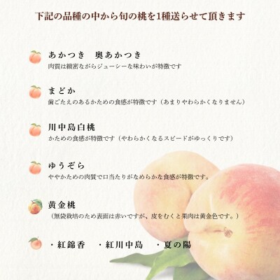 もも　8月収穫の桃　品種お任せ　約3kg【2026年発送】No.1760