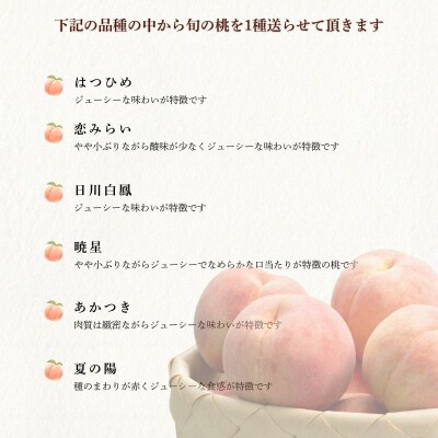 もも　7月収穫の桃　品種お任せ　約5kg【2026年発送】No.1761
