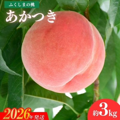 福島のもも「あかつき」約3kg【2026年発送 先行受付】No.1506