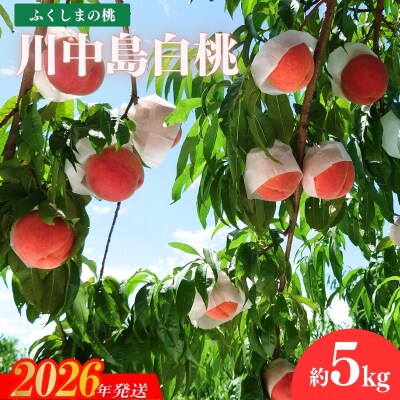 福島のもも「川中島白桃」約5kg【2026年発送 先行受付】No.1513