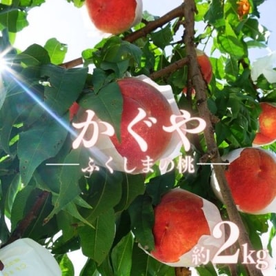 福島のもも「かぐや」約2kg【2025年発送】No.1514