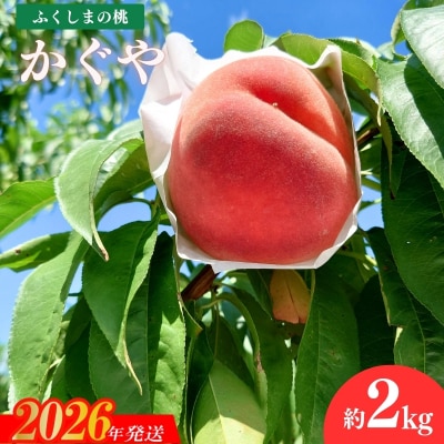 福島のもも「かぐや」約2kg【2026年発送 先行受付】No.1514