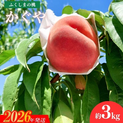 福島のもも「かぐや」約3kg【2026年発送 先行受付】No.1515