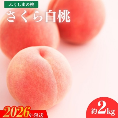 福島のもも「さくら白桃」約3kg【2026年発送 先行予約】No.1518
