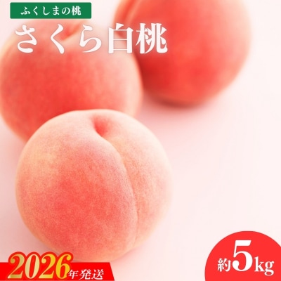 福島のもも「さくら白桃」約5kg【2026年発送 先行予約】No.1519