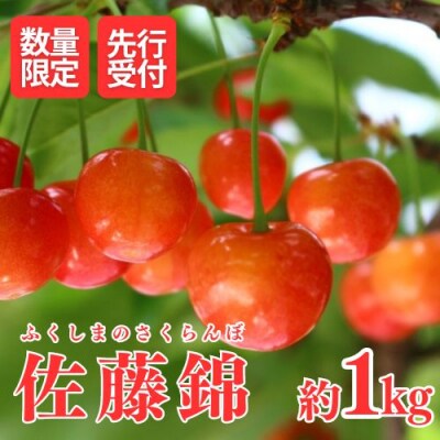 さくらんぼ(佐藤錦)約1kg【2025年発送】No.1802