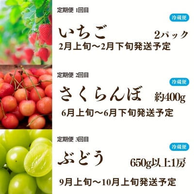 福島のフルーツ3回定期便【2027年発送 先行予約】No.1865