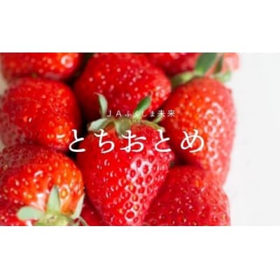  いちご　福島とちおとめ4パック【2025年発送】No.1870