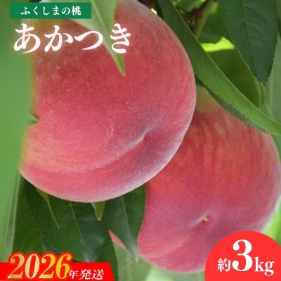 すずき果樹園　もも　あかつき 約3kg【2026年発送　先行受付】No.1881
