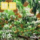 梨　幸水　約5kg【2025年発送】No.1797