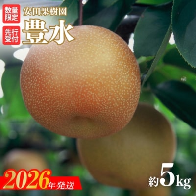 梨　豊水　約5kg【2026年発送 先行受付】No.1799