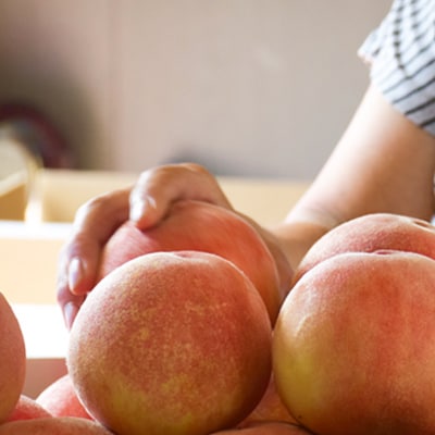 もも「あかつき」約3kg【2025年発送】No.1818