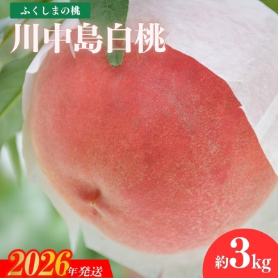 もも「川中島白桃」約3kg【2026年発送 先行受付】No.1819