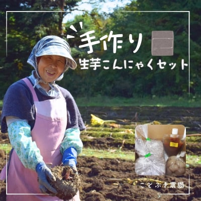 ことぶき農園　手作り生芋こんにゃくセット(ゆずみそ付)【2026年10月上旬より発送】No.1885