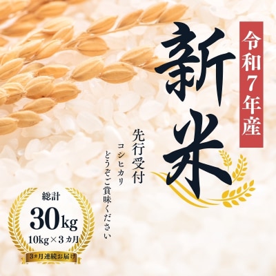 【令和7年産新米先行受付】大文字屋米穀店【定期便3回】コシヒカリ 10kg　精米　No.1497