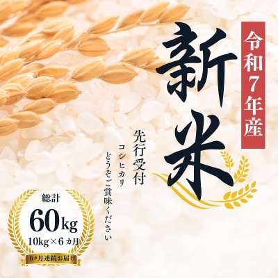 【令和7年産新米先行受付】大文字屋米穀店【定期便6回】コシヒカリ 10kg　精米　No.1498