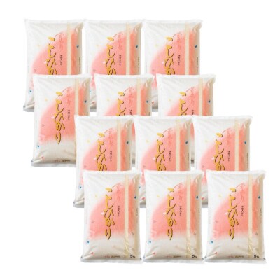 【令和7年産】大文字屋米穀店【定期便6回】コシヒカリ 10kg　精米　No.1498