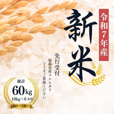 【令和7年産新米先行受付】大文字屋米穀店【定期便6回】コシヒカリ 10kg　精米　No.1499