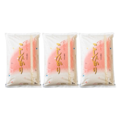 【令和7年産】大文字屋米穀店【定期便3回】コシヒカリ 5kg　精米　No.1501