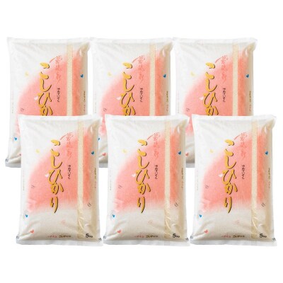 【令和7年産新米先行受付】大文字屋米穀店【定期便6回】コシヒカリ 5kg　精米　No.1502