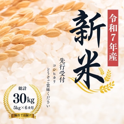 【令和7年産新米先行受付】大文字屋米穀店【定期便6回】コシヒカリ 5kg　精米　No.1503