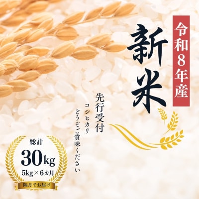 【令和8年産 新米】大文字屋米穀店【定期便6回】コシヒカリ 5kg 精米No.1503