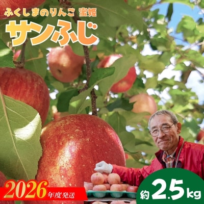  ふくしまのりんご蜜姫「サンふじ」約2.5kg化粧箱入【2026年度発送】No.1357