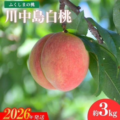 福島の桃　「川中島白桃」約3kg【2026年発送 先行受付】No.1202