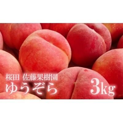 佐藤果樹園/桜田 福島の桃「ゆうぞら」3kg【2023年発送】No.1203 | ふるさと納税のお礼品