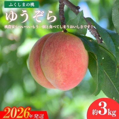 福島の桃　「ゆうぞら」約3kg【2026年発送 先行受付】No.1203