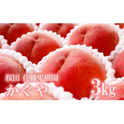 福島の桃　「かぐや」約3kg【2025年発送】No.1204