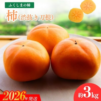 福島の柿「渋抜き柿」(刀根早生又は平たねなし)約3kg【2026年発送 先行受付】No.1205