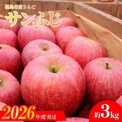 福島のりんご「サンふじ」家庭用(バラ詰め簡易梱包) 約10kg【2026年度発送】No.1207
