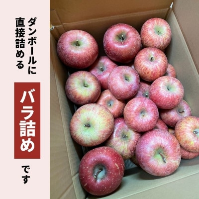福島のりんご「サンふじ」家庭用(バラ詰め簡易梱包) 約10kg【2025年度発送】 No.1207